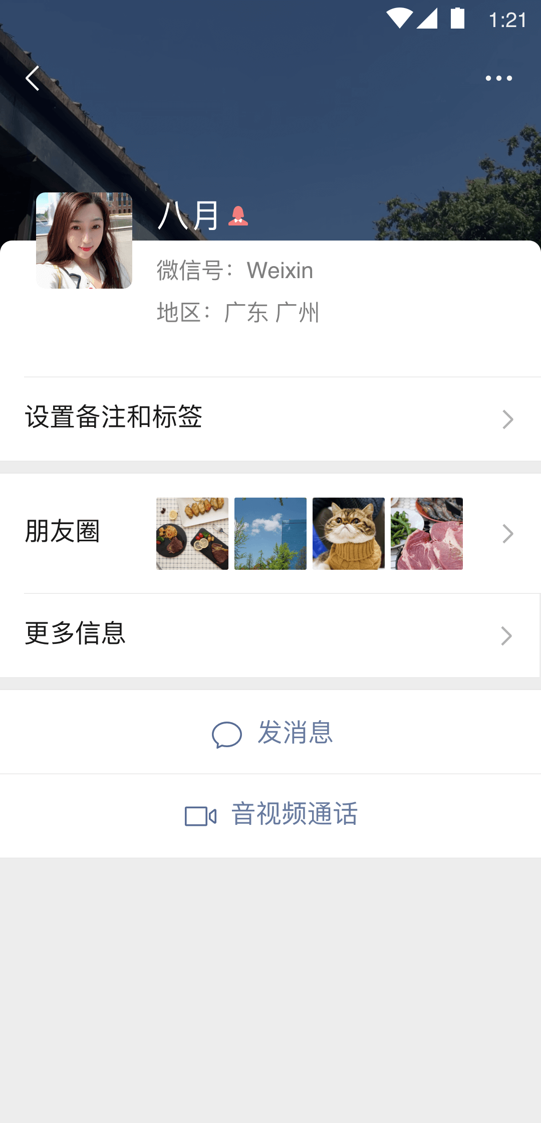 蛋神剧情介绍截图